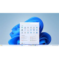 Microsoft Windows 10/11 Professional